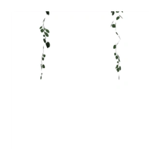 Buy_Obj_Decor_MJTS_CWB_Climbing_Leaves_for_Cloud_Hanging_Bed_Short.package
