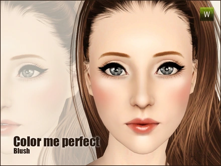 Gosik Color me perfect blush.package