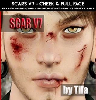 Tifa_ScarsV7_Blush_Costume_Eyeliner_Eyeshadow_Lipstick.zip