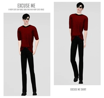 BLINKSIMS_EXCUSE_ME_SHIRT.rar