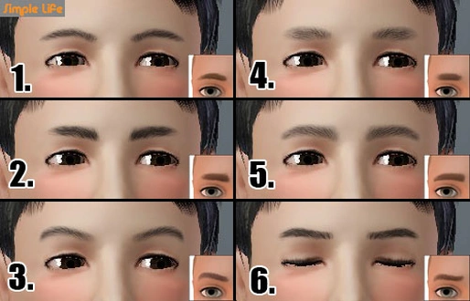 SLU_Eyebrows_C1-6_PCU.zip