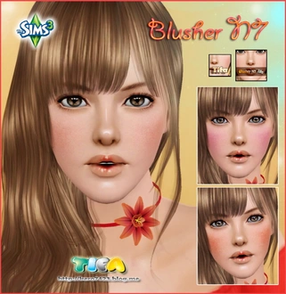 Tifa_BlushN7_TAEU.zip