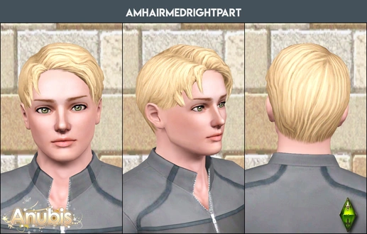 anubis360_TSM_amHairMedRightPart_TAEM.zip