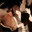 Eray Evren Studfarm's logo or avatar