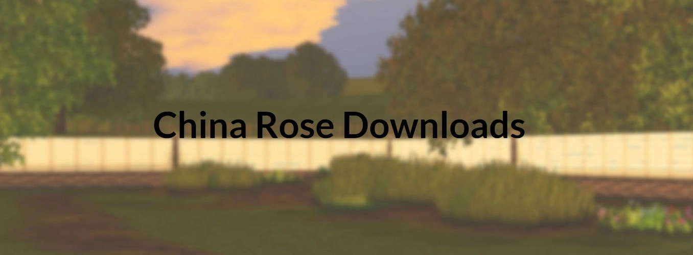 China Rose