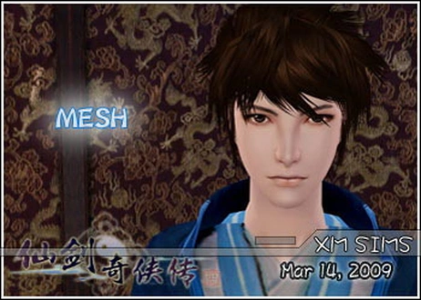 MESH-hair07_madebyjade.zip