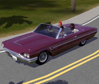 Bloom_1964FordThunderbird.rar