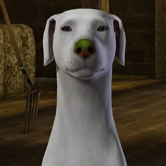 ChinaRoseHDNose02.package