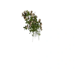 Buy_Obj_Decor_MJTS_CWB_Flowers_for_the_Family_Kitchen_Sink.package