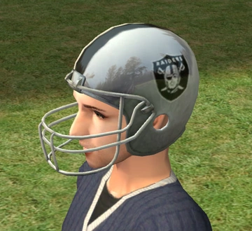 Bloom_FootballHelmet_Raiders.rar