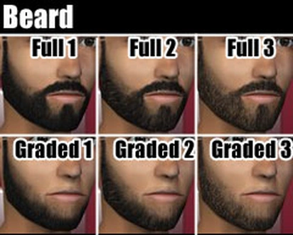 SLU_Beard_Beard1.zip