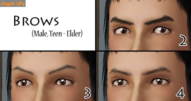SLU_Eyebrows_M2-4_TAEM.zip