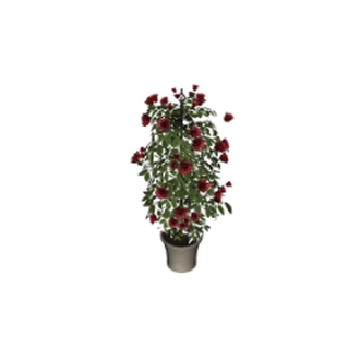 Buy_Obj_Decor_MJTS_CWB_Potted_Climbing_Roses.package