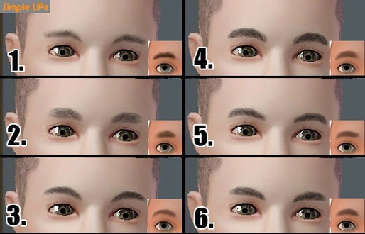 SLU_Eyebrows_T1-6_PCU.zip