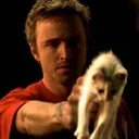 greatfairie's logo or avatar