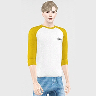BLINKSIMS_NOCHU_SHIRT.package