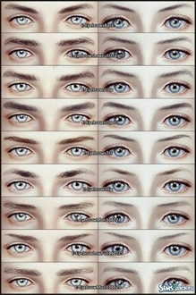 E-EyebrowsCollection.rar