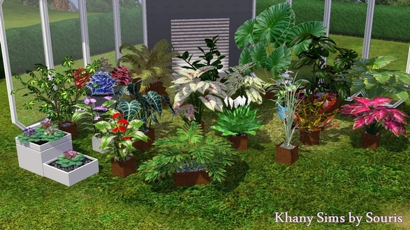 souris_plantes-divers.zip