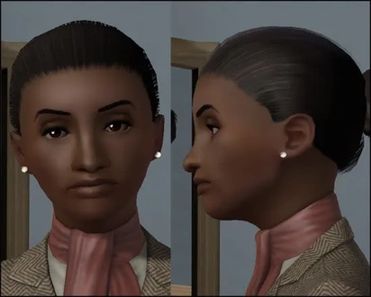 Influenza_Boucher.zip