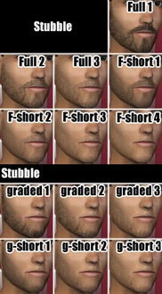 SLU_Beard_Stubble1-2.zip