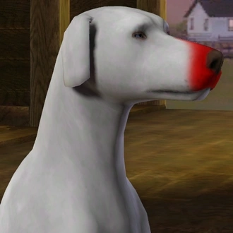 ChinaRose_NoseSnip02.package
