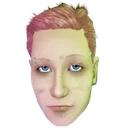 shiftingparadymes's logo or avatar