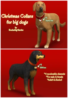 Everlasting-Garden_BigDogCollars.zip