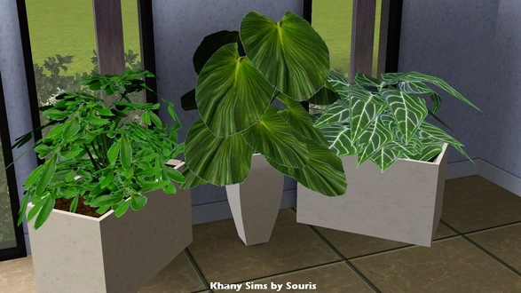 souris_3-plantes-pot.zip
