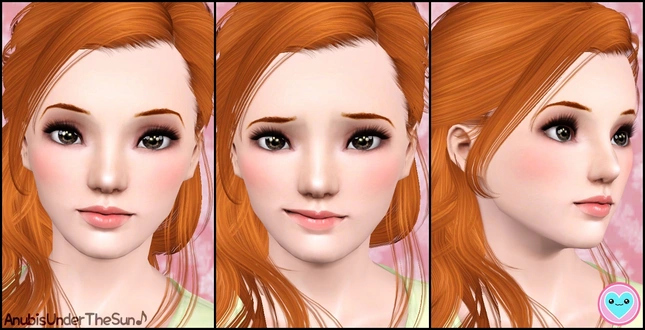 anubis360_Sim_HikariTanakaV2.zip