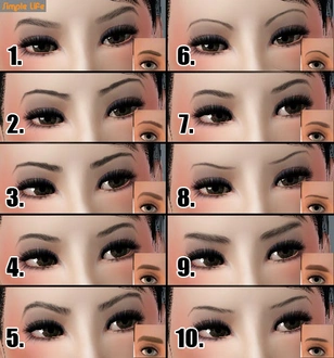 SLU_Eyebrows_F01-10_TAEU.zip