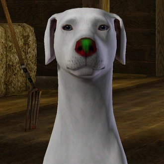 chinaroseHDNose01.package