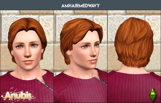 anubis360_TSM_amHairMedWavy_TAEM.zip