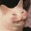 Ameriko
