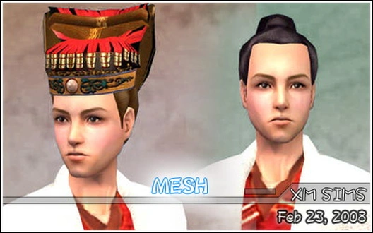 Cglvl_MeshHair005.zip