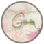 Galadrielh's logo or avatar