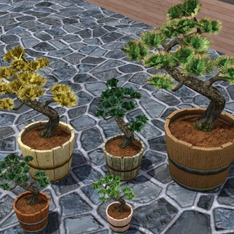 Bloom_BonsaiTrees.rar