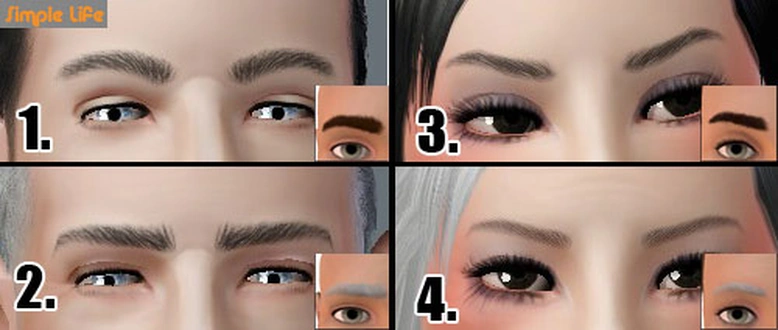 SLU_Eyebrows_TE1-4_TAEU.zip