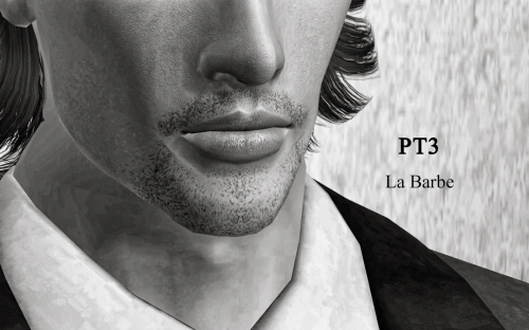 pantaogranny_Beard_PT3LaBarbe_TAEM.zip