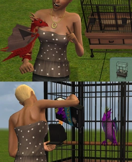 Amaryll_3t2BabyDragonPet.rar