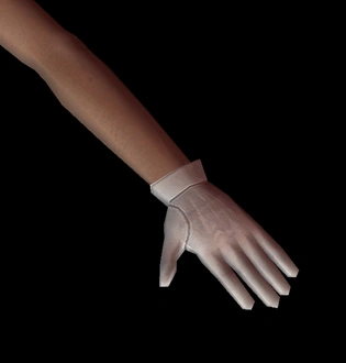 Bloom_Gloves.rar