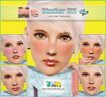 Tifa_BlushN11_TAEU.zip