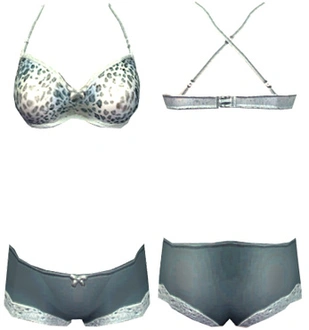 ADELE_crisscrossLeopard.rar