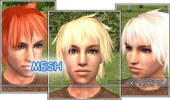 XMS_Flora_MeshHair020.zip