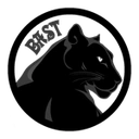 BastSims's logo or avatar