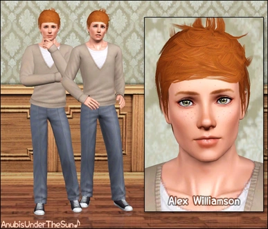 anubis360_Sim_AlexWilliamson.zip