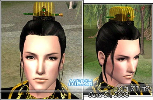Qingming_MeshHair009.zip