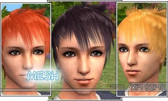 XMS_Flora_MeshHair023.zip