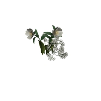 Buy_Obj_Decor_MJTS_CWB_Floral_Rain_Boots_Flowers.package