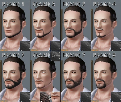 SLU_Beard_1-8_TAEM.zip