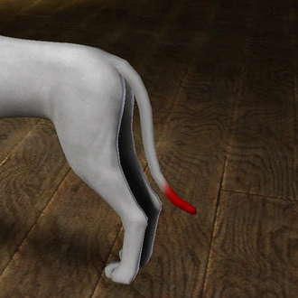 ChinaRose_TailTip01.package